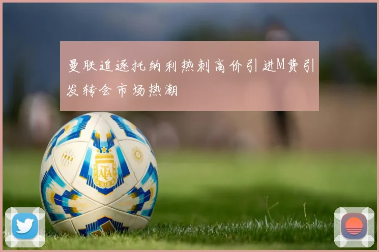 曼联追逐托纳利热刺高价引进M费引发转会市场热潮